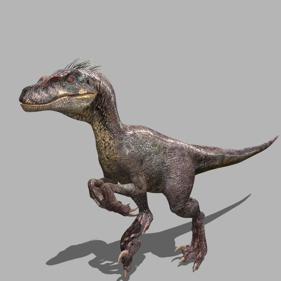 Jurassic Park Raptor 3d Model