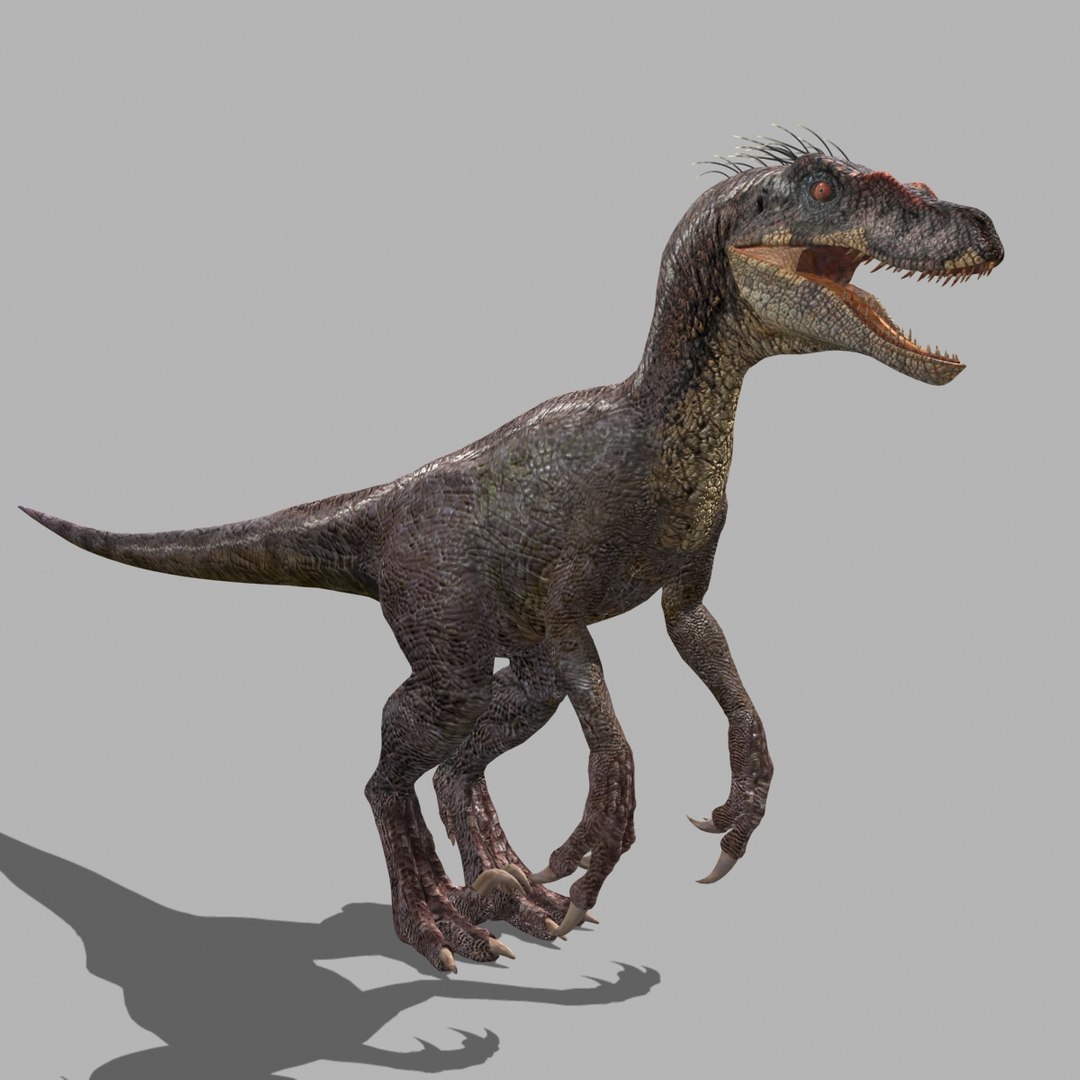 Jurassic Park Raptor 3d Model