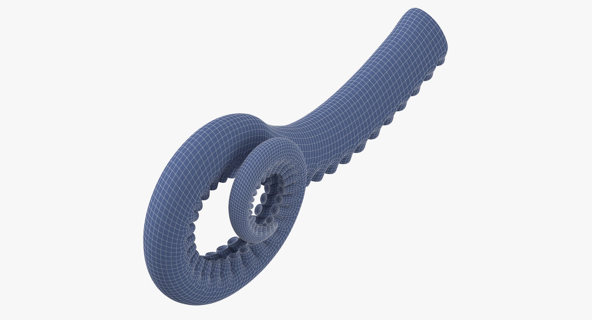 octopus tentacles 3D model https://p.turbosquid.com/ts-thumb/P0/8X3hlA/fEgyKIKG/octopus_tentacle_05_wireframes0000/jpg/1499255652/1920x1080/fit_q87/c17f3d4be7454dd06ea04c5f1473fa7d1cbfe3aa/octopus_tentacle_05_wireframes0000.jpg