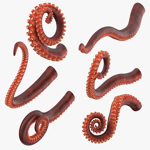 octopus tentacles 3D model