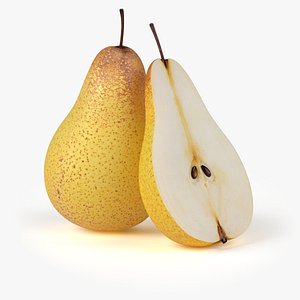 3d model realistic pear fruit real