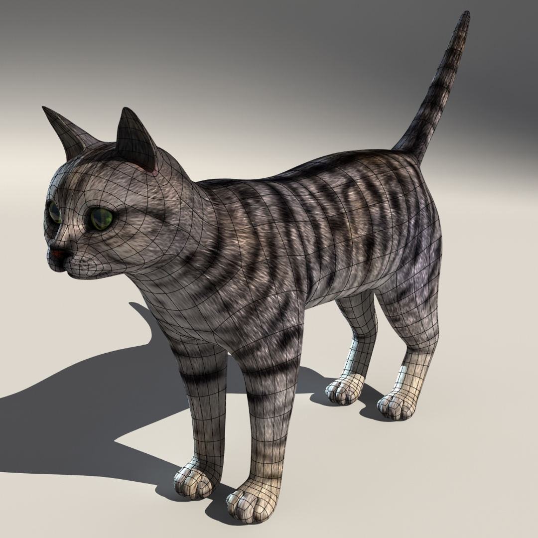 Кошка d. 3d Cat. Кот 3д модель. Кот 3d модель. Кошка 3d Max.