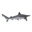 Sharks Rigged Collection 9 per Cinema 4D