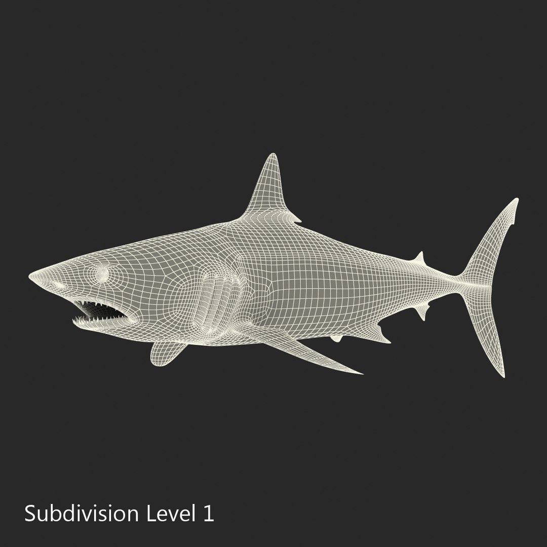 3D sharks rigged 9 https://p.turbosquid.com/ts-thumb/P0/YQIDU6/1PENqafM/sharkscollection3dmodels169/jpg/1465305622/1920x1080/fit_q87/81e16c3e1621930157358daca4305b385643c7a7/sharkscollection3dmodels169.jpg