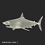Sharks Rigged Collection 9 per Cinema 4D