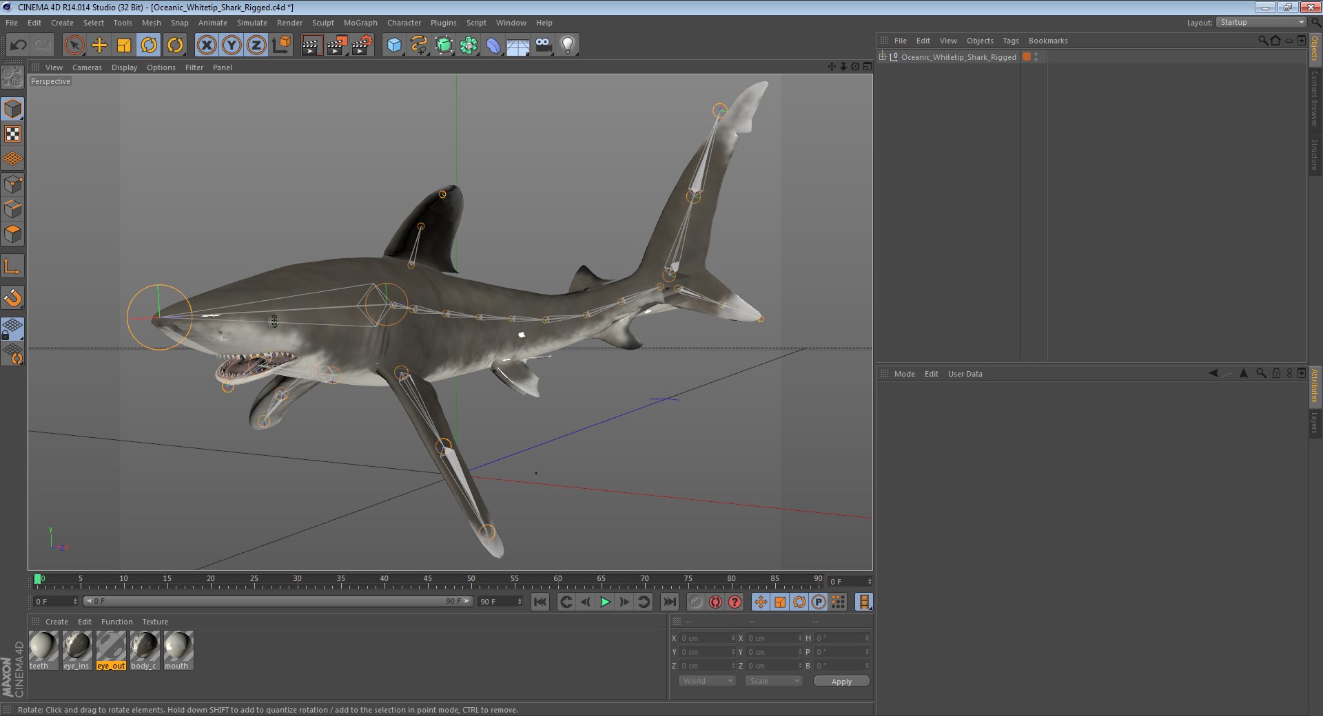 3D sharks rigged 9 https://p.turbosquid.com/ts-thumb/P0/YQIDU6/2I4qwf6P/oceanicwhitetipsharkriggedcinema4d3dmodel28/jpg/1582543852/1920x1080/fit_q87/85ecaa2fda06d65f284fd5a3ae2a015c6996f942/oceanicwhitetipsharkriggedcinema4d3dmodel28.jpg