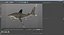 Sharks Rigged Collection 9 per Cinema 4D