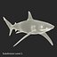 Sharks Rigged Collection 9 per Cinema 4D