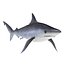 Sharks Rigged Collection 9 per Cinema 4D