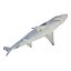 Sharks Rigged Collection 9 per Cinema 4D