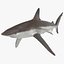Sharks Rigged Collection 9 per Cinema 4D