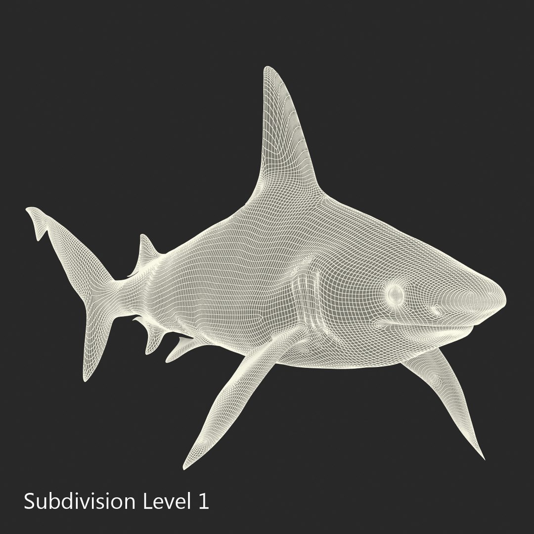 3D sharks rigged 9 https://p.turbosquid.com/ts-thumb/P0/YQIDU6/3Wwr5ckj/sharkscollection3dmodels165/jpg/1465305622/1920x1080/fit_q87/88ff005836e9f95a8353f63fa44cc635ebe56766/sharkscollection3dmodels165.jpg