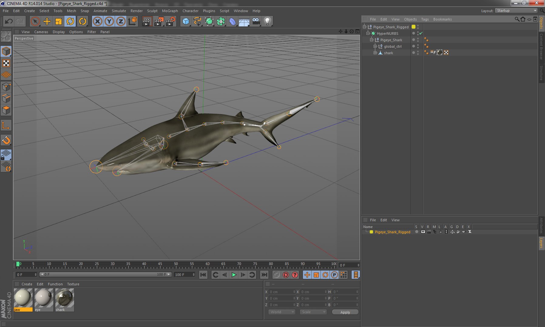 3D sharks rigged 9 https://p.turbosquid.com/ts-thumb/P0/YQIDU6/5MvePtg4/pigeyesharkriggedcinema4d3dmodel28/jpg/1582543852/1920x1080/fit_q87/c8ab1d49362dca95e60405707a531543ff60d2ad/pigeyesharkriggedcinema4d3dmodel28.jpg