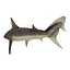 Sharks Rigged Collection 9 per Cinema 4D