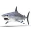 Sharks Rigged Collection 9 per Cinema 4D