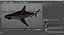 Sharks Rigged Collection 9 per Cinema 4D