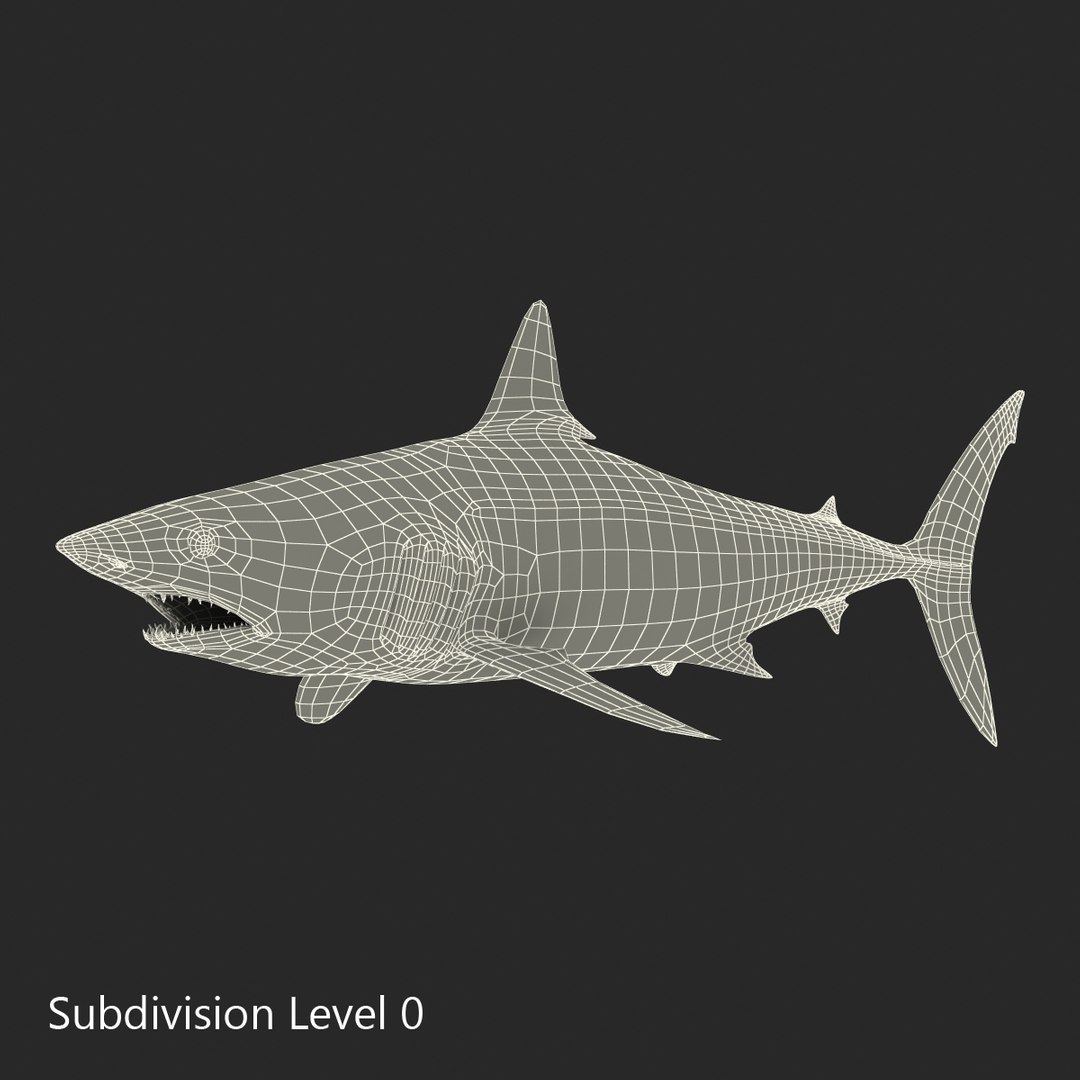 3D sharks rigged 9 https://p.turbosquid.com/ts-thumb/P0/YQIDU6/7WWx7yE9/sharkscollection3dmodels168/jpg/1465305622/1920x1080/fit_q87/abddede2f415fa2d5384030efd78f55c04988ec2/sharkscollection3dmodels168.jpg