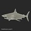 Sharks Rigged Collection 9 per Cinema 4D