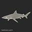 Sharks Rigged Collection 9 per Cinema 4D