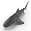 Sharks Rigged Collection 9 per Cinema 4D
