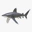 Sharks Rigged Collection 9 per Cinema 4D