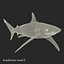 Sharks Rigged Collection 9 per Cinema 4D