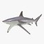 Sharks Rigged Collection 9 per Cinema 4D