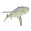 Sharks Rigged Collection 9 per Cinema 4D