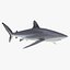 Sharks Rigged Collection 9 per Cinema 4D