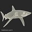 Sharks Rigged Collection 9 per Cinema 4D