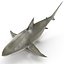 Sharks Rigged Collection 9 per Cinema 4D