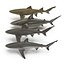 Sharks Rigged Collection 9 per Cinema 4D