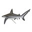Sharks Rigged Collection 9 per Cinema 4D