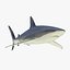 Sharks Rigged Collection 9 per Cinema 4D