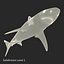 Sharks Rigged Collection 9 per Cinema 4D