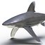 Sharks Rigged Collection 9 per Cinema 4D