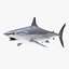 Sharks Rigged Collection 9 per Cinema 4D
