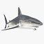 Sharks Rigged Collection 9 per Cinema 4D