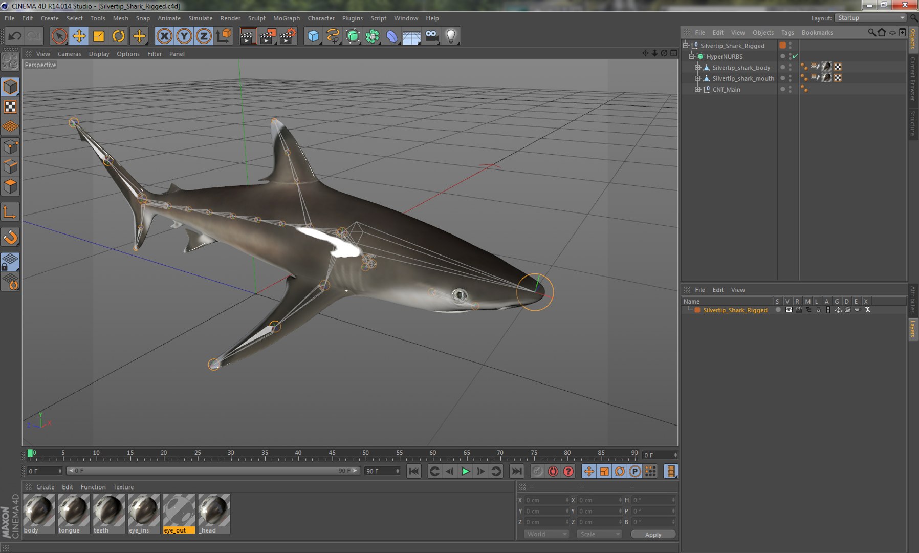 3D sharks rigged 9 https://p.turbosquid.com/ts-thumb/P0/YQIDU6/HVAYtTrr/silvertipsharkriggedcinema4d3dmodel020/jpg/1582543853/1920x1080/fit_q87/c5f6d48dcc12349e376164ef4cf829a59bb985e1/silvertipsharkriggedcinema4d3dmodel020.jpg