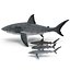 Sharks Rigged Collection 9 per Cinema 4D