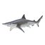 Sharks Rigged Collection 9 per Cinema 4D