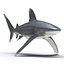 Sharks Rigged Collection 9 per Cinema 4D