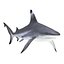 Sharks Rigged Collection 9 per Cinema 4D