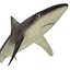 Sharks Rigged Collection 9 per Cinema 4D