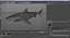 Sharks Rigged Collection 9 per Cinema 4D