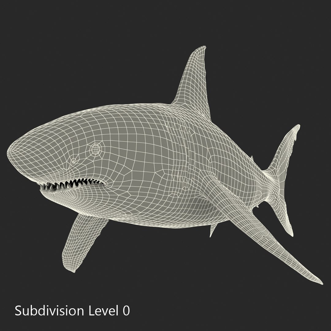 3D sharks rigged 9 https://p.turbosquid.com/ts-thumb/P0/YQIDU6/JKKbCl80/sharkscollection3dmodels154/jpg/1465305620/1920x1080/fit_q87/c69602f3dbcaeb15f7141f7b6185889072b8b098/sharkscollection3dmodels154.jpg