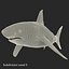 Sharks Rigged Collection 9 per Cinema 4D