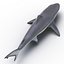 Sharks Rigged Collection 9 per Cinema 4D