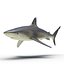 Sharks Rigged Collection 9 per Cinema 4D