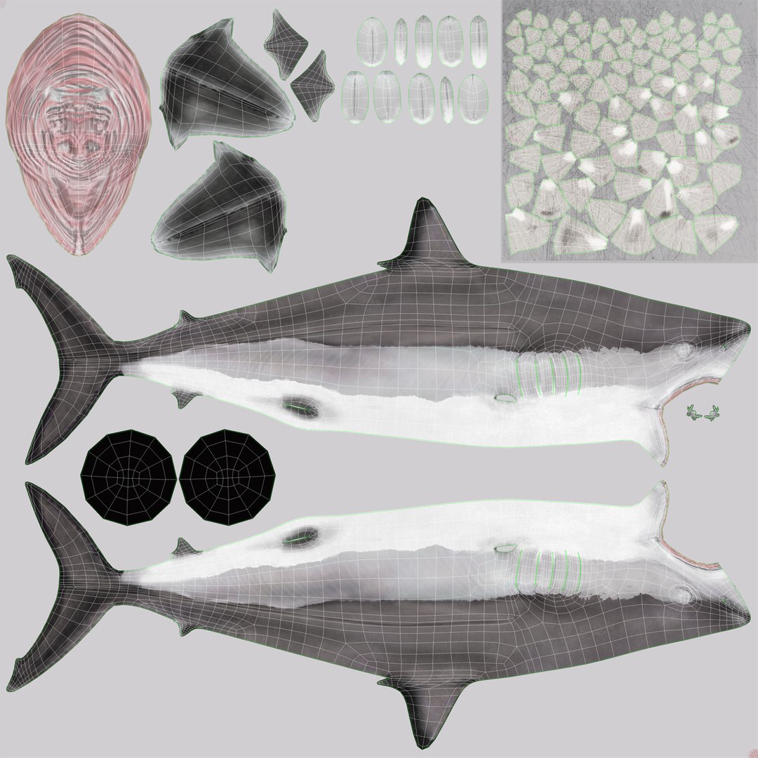 3D sharks rigged 9 https://p.turbosquid.com/ts-thumb/P0/YQIDU6/KQNHXOGb/sharkscollection3dmodels188/jpg/1465305626/1920x1080/fit_q87/a084350bd08f55092032fe6d04243bdaa72966af/sharkscollection3dmodels188.jpg